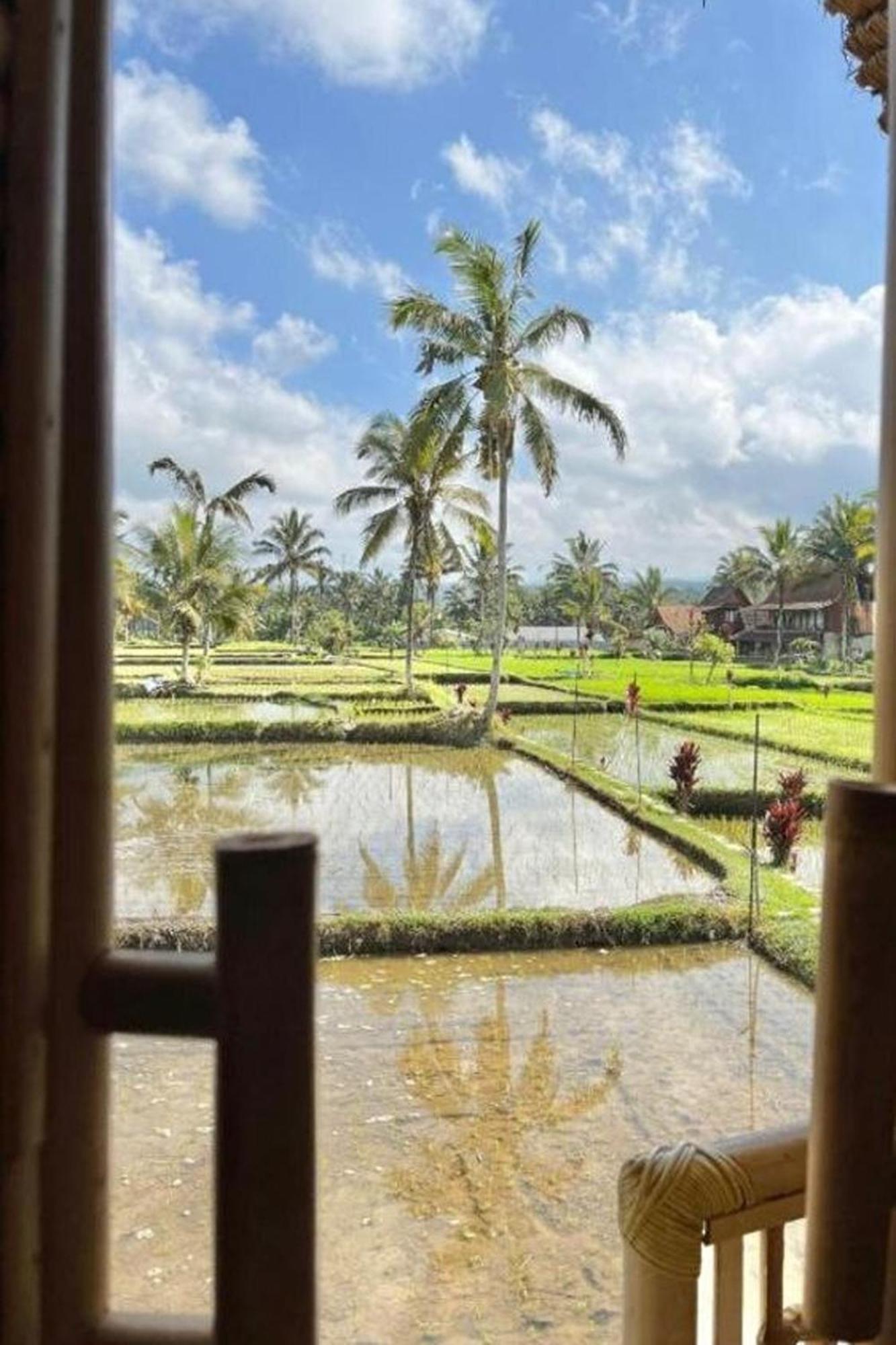 Lumbung Langit Bali House & Hostel Tampaksiring Eksteriør bilde